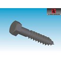 HEX HD LAG SCREWS, ZP_18